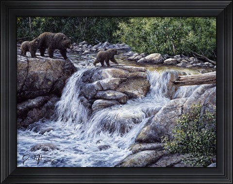 Framed Entiat Falls-Grizzly Family Print
