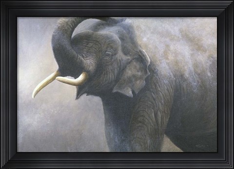 Framed Asian Elephant Dusting Print