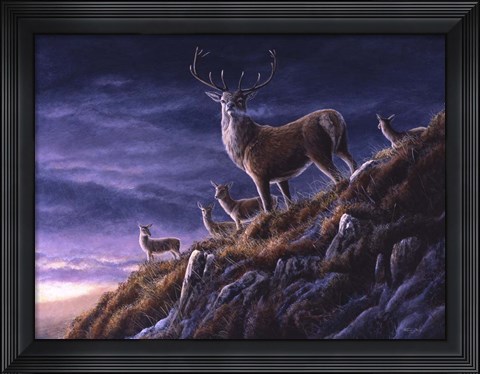 Framed Threatening Sky Red Deer Print