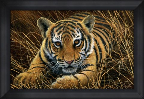 Framed Tiger Cub Print