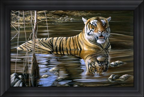 Framed Cooling Off Bengal Tiger Print