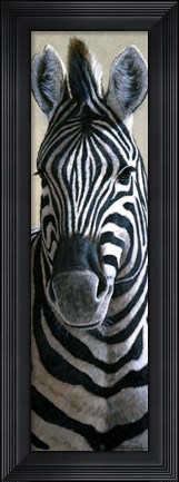 Framed Zebra Print