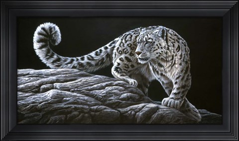 Framed Snow Leopard Print