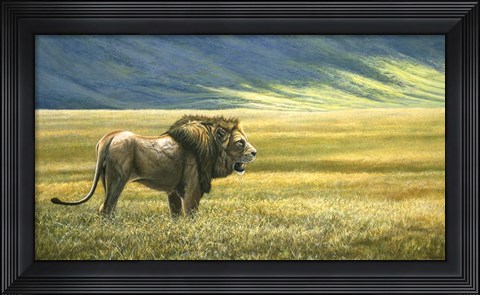 Framed His Domain Lion Print
