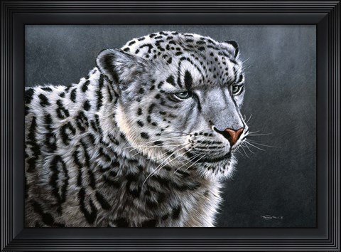 Framed Snow Leopard Print