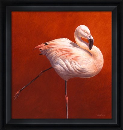 Framed Flame Bird Flamingo Print