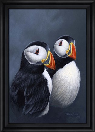 Framed Puffins Print