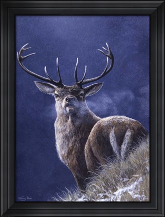 Framed Stag Print