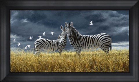 Framed Coming Of Rain Zebra Print