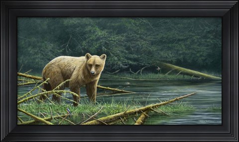 Framed Grizzly And Swallows Print