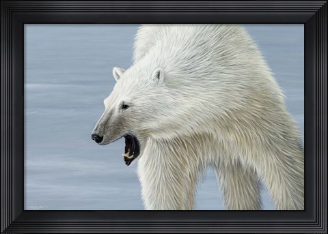 Framed Polar Bear Print
