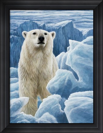 Framed Ice Bear Polar Bear Print