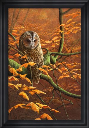 Framed Autumn Tawny Owl Print