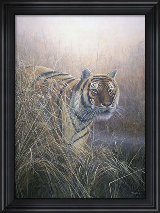 Framed Tiger At Dawn Print
