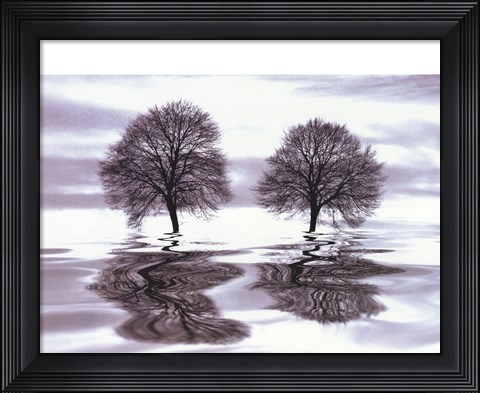 Framed Imagine Print