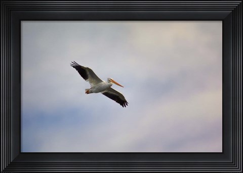 Framed Beautiful Day To Fly Print