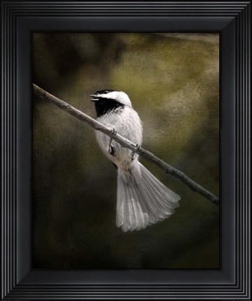 Framed Song In Your Heart Chickadee Print