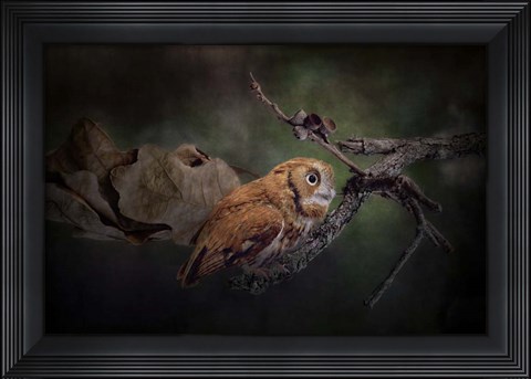 Framed After The Acorns Fall Print