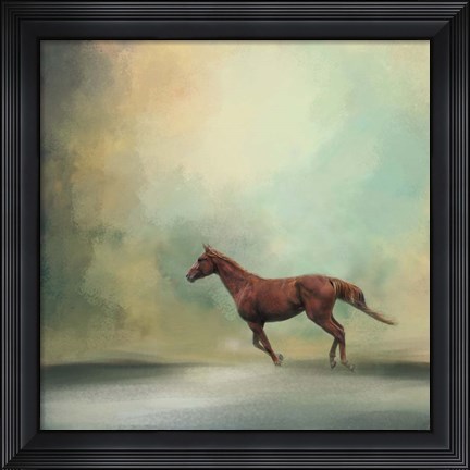 Framed Arabian Run Print