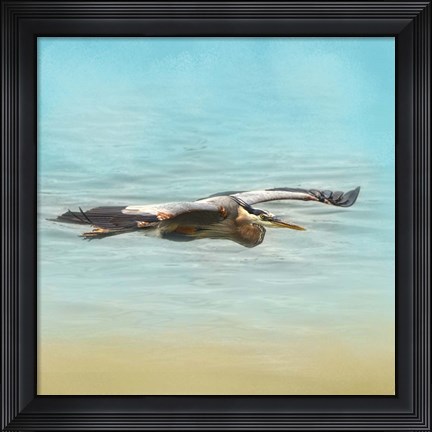 Framed Arrival Of The Blue Heron Print