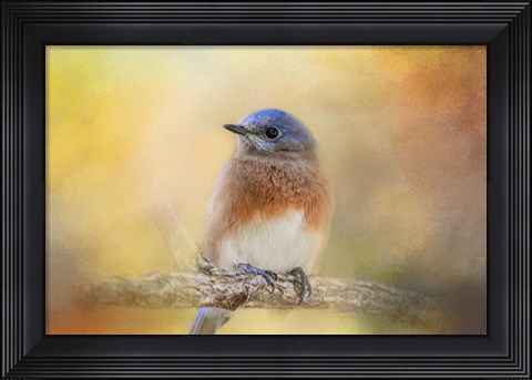 Framed Autumn&#39;s Treasure Print