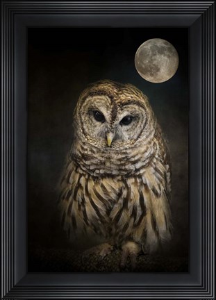 Framed Barred Owl And The Moon Print
