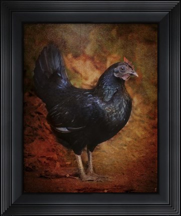 Framed Black Bantam Chicken Print