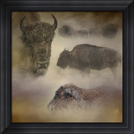Framed Buffalo Dreams Print