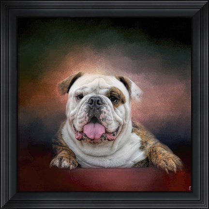 Framed Bulldog Hanging Out Print