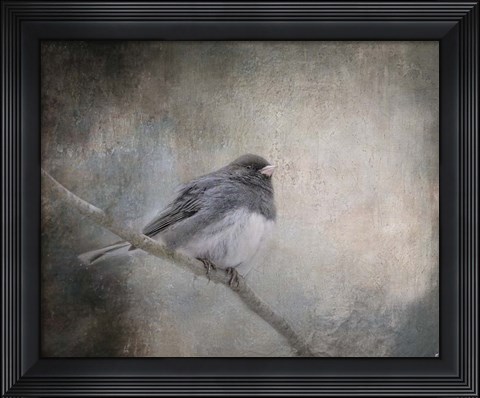 Framed By Winter&#39;s Light Print