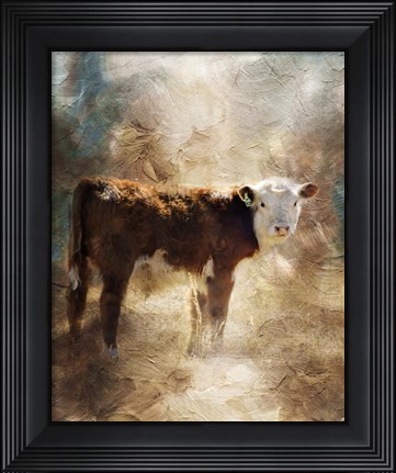 Framed Calf In The Sunday Sun Print