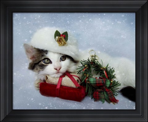 Framed Christmas Kitten In The Snow Print