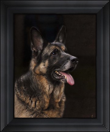Framed Classic German Shepherd Print