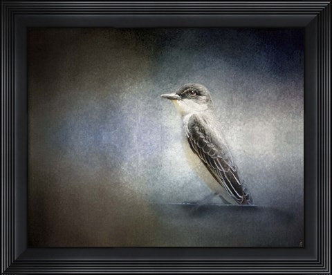 Framed Eastern Kingbird Portrait Print
