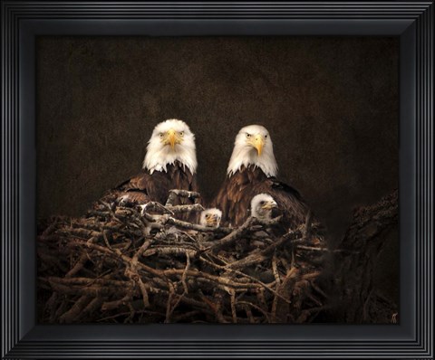 Framed Family Is Forever Bald Eagles Print