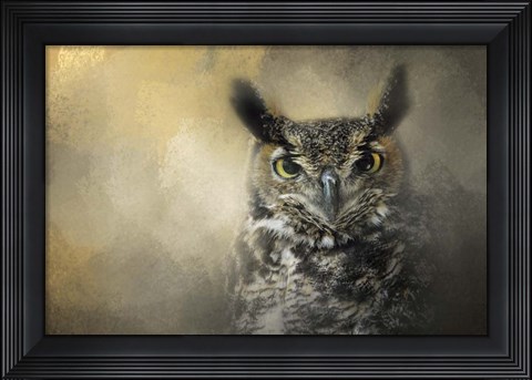 Framed Golden Eyes Great Horned Owl Print
