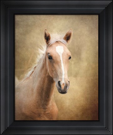 Framed Golden Girl Palomino Horse Print