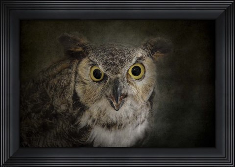Framed Great Horned Owl Print