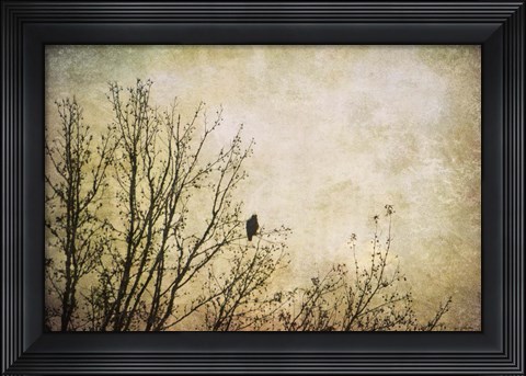 Framed Greeting The Sun Print