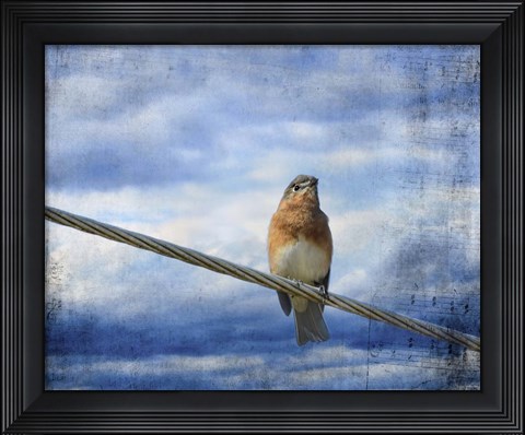 Framed Heavenly Song Of The Bluebird Print