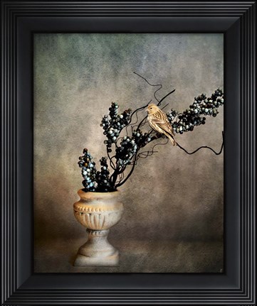 Framed House Finch and Berries Print