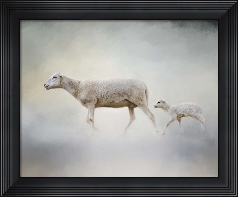 Framed In My Mothers Footsteps Sheep and Lamb Print