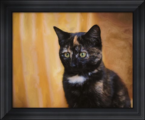 Framed Jeweled Eyes Tortoiseshell Kitten Print