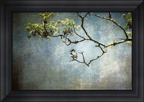 Framed Lucky Bird Print