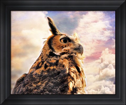 Framed Majestic Great Horned Owl Print