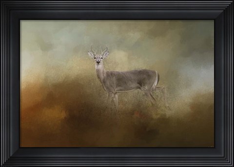 Framed Old Master Print