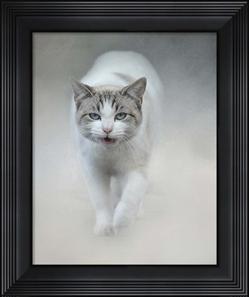 Framed Out Of The Mist Print