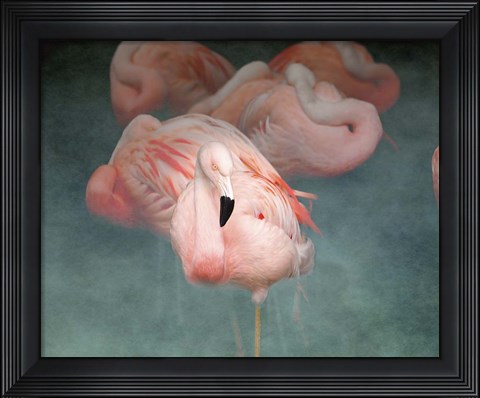 Framed Pink Flamingo 1 Print