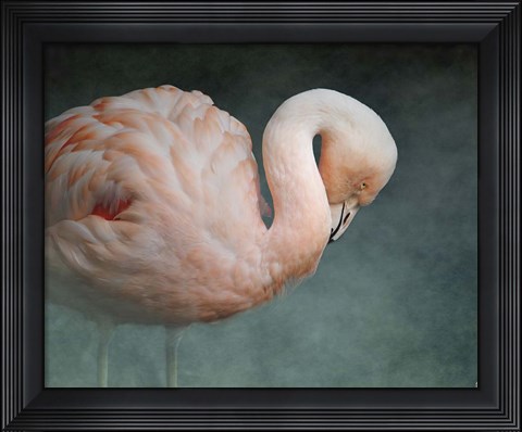 Framed Pink Flamingo 2 Print