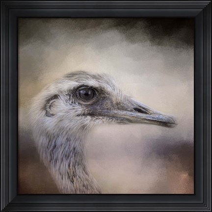 Framed Poised Ostrich Print